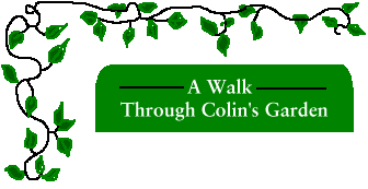 A Walk Through Colin's Garden